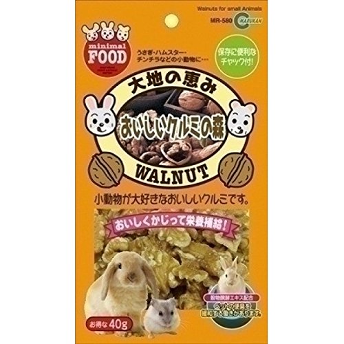 （まとめ買い）マルカン 大地の恵み おいしいクルミの森 40g MR-580 ×6